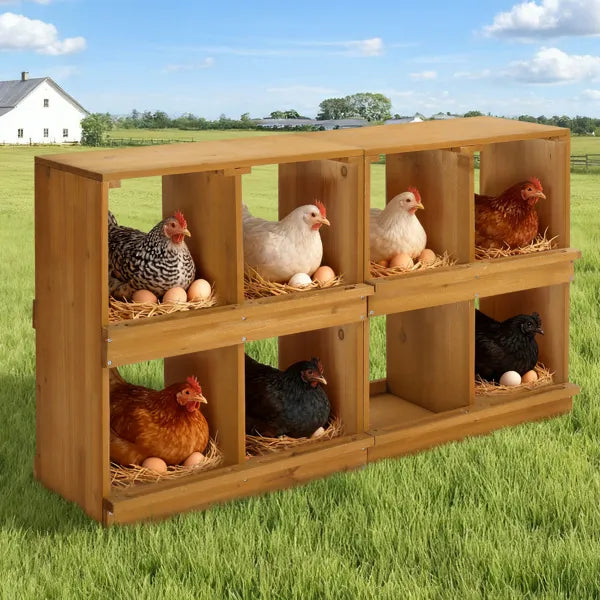 Nesting Boxes For Chickens, Wooden Chicken Nesting Box, Laying Eggs Nest Box For Chickens Hens Ducks, Yellow, 8 Compartments
