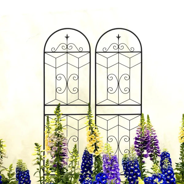 2 Pack Metal Garden Trellis 71" X 19.7" Rustproof Trellis For Climbing Plants Outdoor Flower Support Black