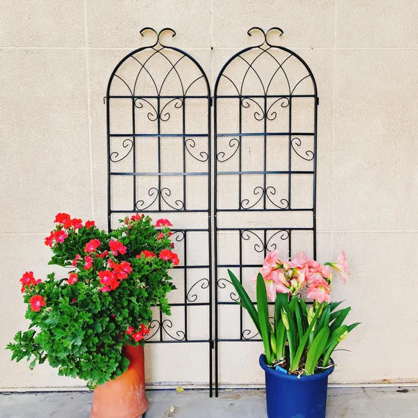 4 Pack Metal Garden Trellis 71" X 19.7" Rustproof Trellis For Climbing Plants Outdoor Flower Support
