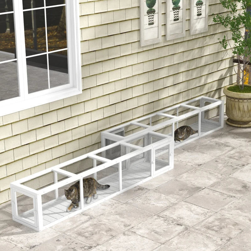 Wooden Cat Run With Weather Protection, Connecting Inside And Outside