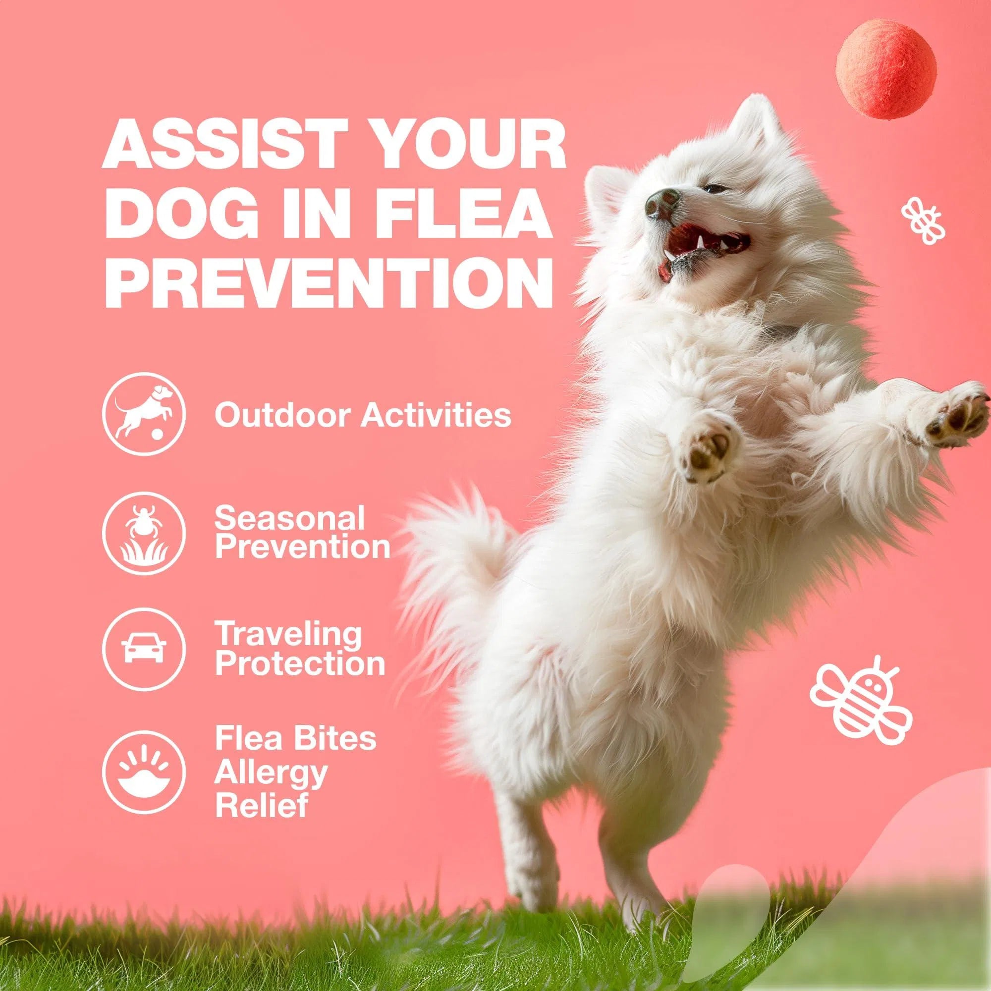 Dog Flea And Tick Treatment Chews FleaTick Prevention For Dogs Chewables Natural Dog Flea & Tick Control Soft Treats Immune Support Supplement