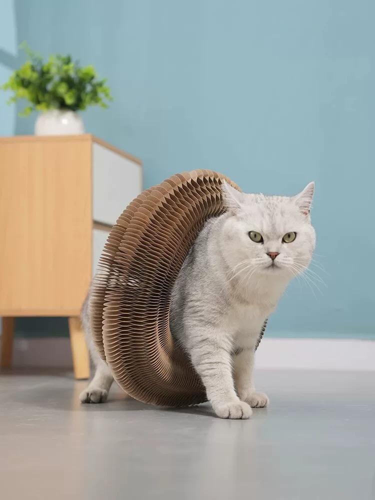 Cat Curl Scratching Board Magic Organ Cat Toy Recyclable Corrugated Cardboard Scratch-Resistant And Wear-Resistant Foldable Wood Grain Interactive Cat Scratching Toy