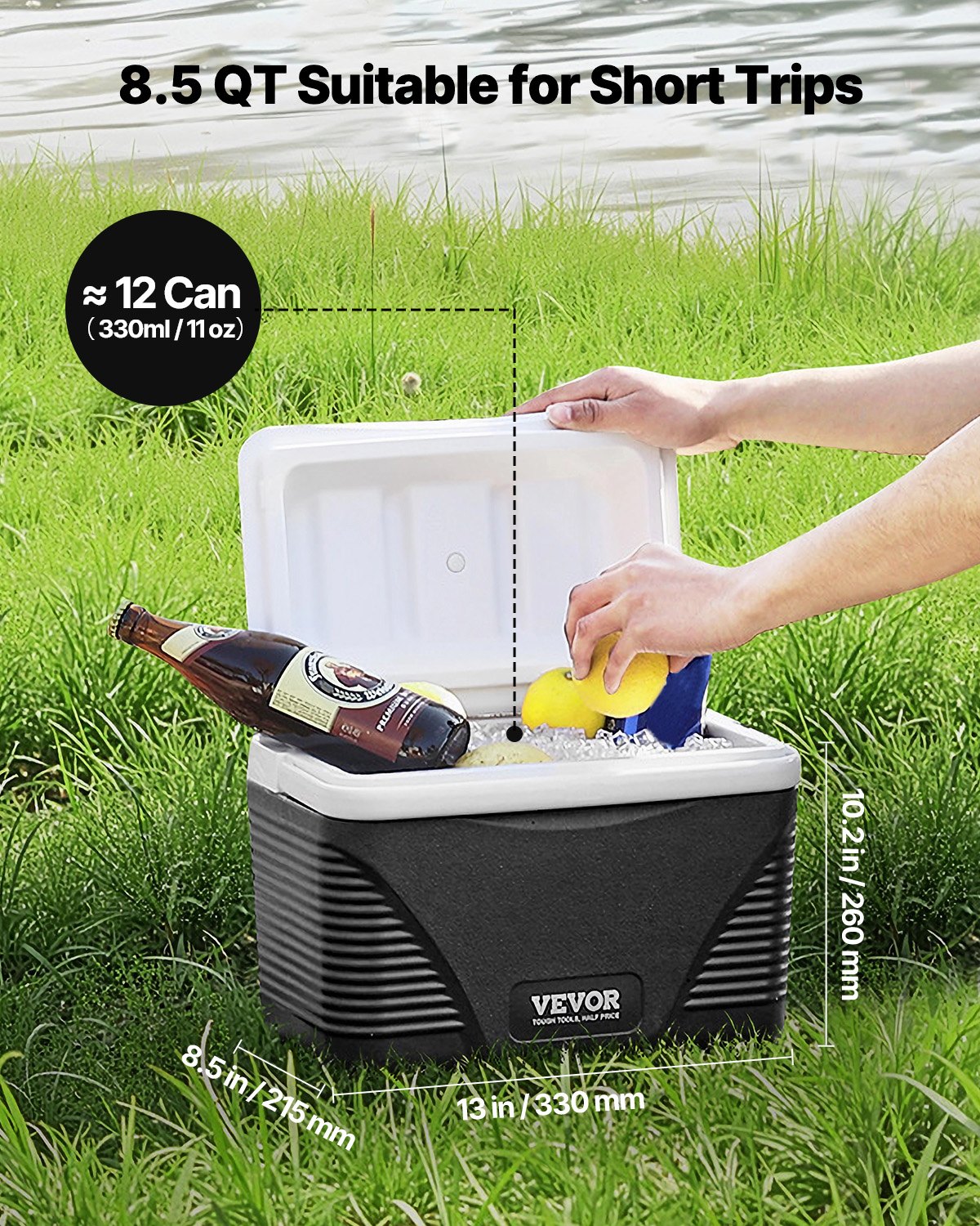 Portable Cooler 8.5 QT Insulated Hard Cooler 12 Can Capacity With Handles