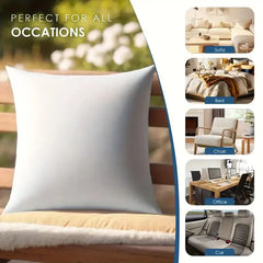 Throw Pillows , 2pack